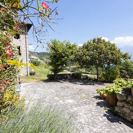 Ap. Lancillotto - Lago Di Garda トレモージネ エクステリア 写真